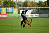 A'Tom Canis Aemona