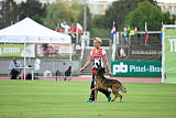 Storm Marinchuk K-9