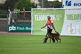 Storm Marinchuk K-9