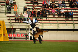 Storm Marinchuk K-9