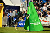 Diego vom Alten Bernauer Heerweg