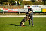 Leska vom Mühlenknapp
