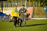 Kliff von der Friesenklippe