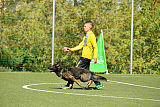 Kliff von der Friesenklippe
