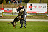 Freya vom Dahlhauser Schloßpark