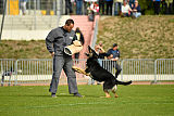 Rocco del Camino Duro