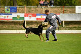 Rocco del Camino Duro