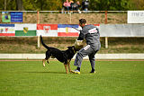 Rocco del Camino Duro