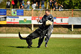Max vom Mochauer Land