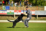 Max vom Mochauer Land