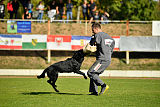 Max vom Mochauer Land