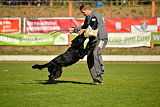 Max vom Mochauer Land