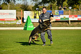 Bandit vom Steinsaal
