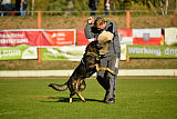 Bandit vom Steinsaal