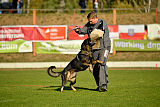 Bandit vom Steinsaal