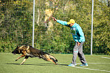 Bandit vom Steinsaal