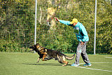 Bandit vom Steinsaal