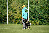 Bandit vom Steinsaal