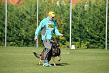 Bandit vom Steinsaal