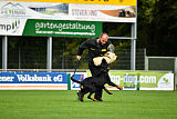 Faxe vom Tanneneck