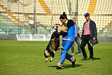Enrico Alen's Hof