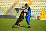 Enrico Alen's Hof