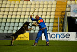 Enrico Alen's Hof