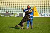 Enrico Alen's Hof