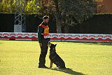 Leo de Jardines del Real