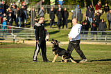 Eddy vom Team Nordsturm