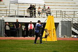 Bomra vom Giannioti Sports Dog