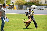 Iris Veranis K-9 Dog Center