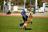 Chicka Force Canina