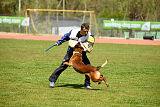 Phenix de Orelav