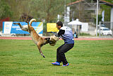 G'Dracarys Force Canina
