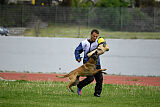 G'Dracarys Force Canina