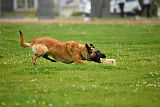 Indy vom Causa Nostre Letitia