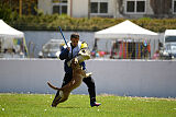 Uma Anubis the Second