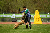 Aria Zeus Slovakia