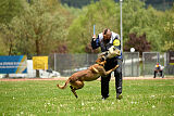 Roger de Knueve Hispania